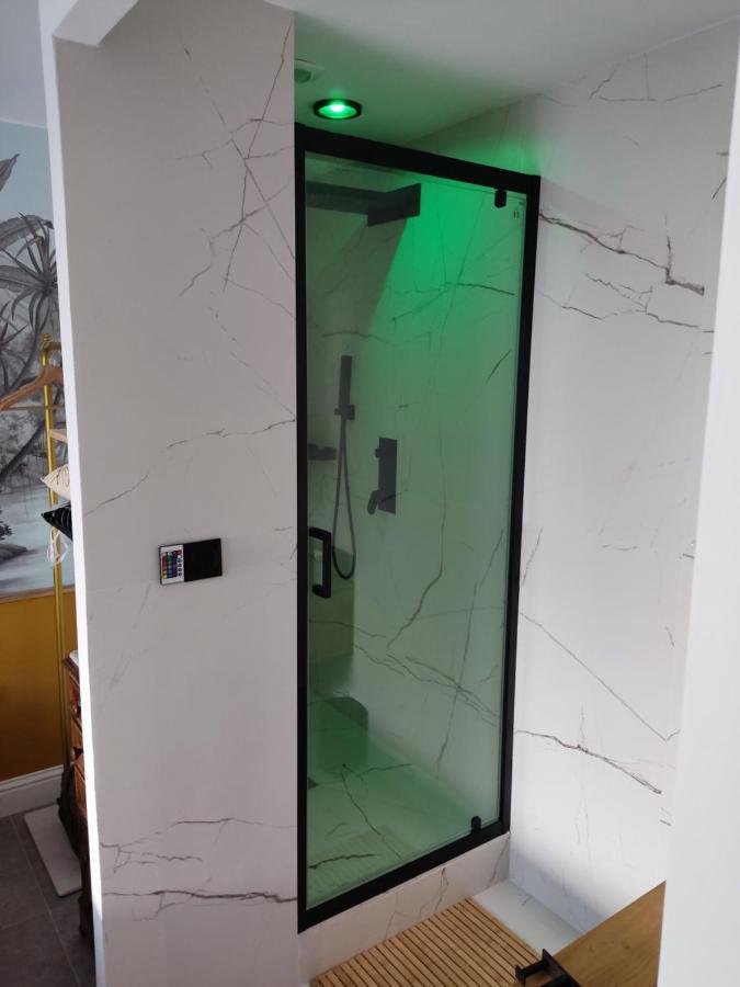 Superbe Appartement Avec Jacuzzi Avec Jardin Prive Lyon Eksteriør bilde