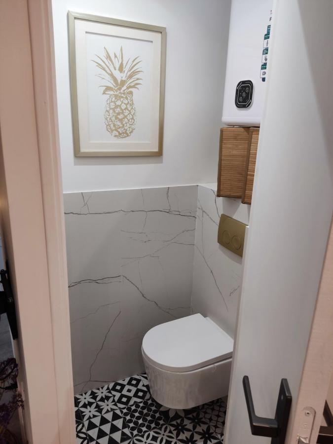 Superbe Appartement Avec Jacuzzi Avec Jardin Prive Lyon Eksteriør bilde