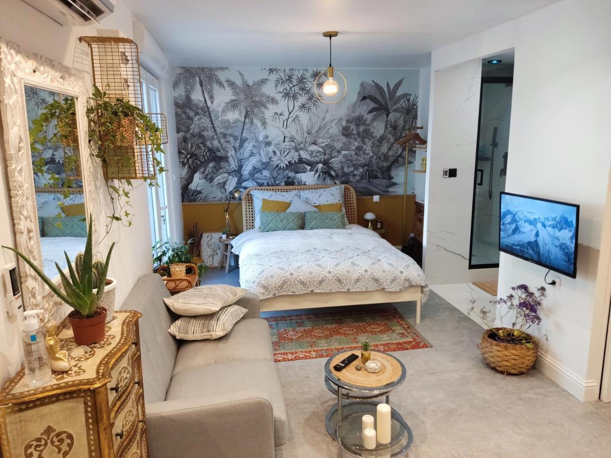 Superbe Appartement Avec Jacuzzi Avec Jardin Prive Lyon Eksteriør bilde